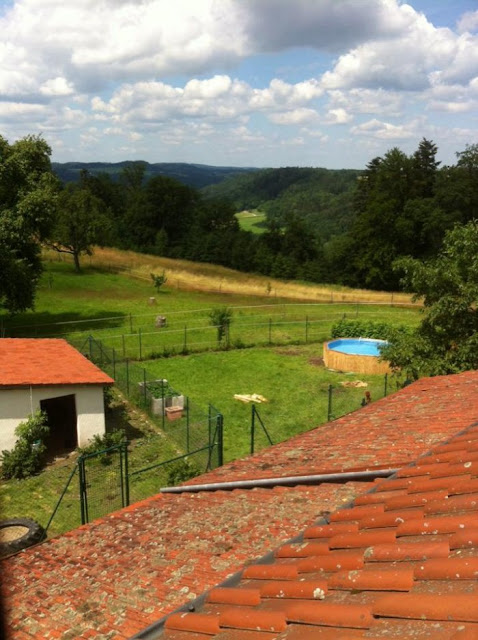 piscine extérieure palette bois 7
