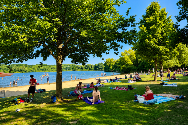 Shaded lawn at De Plas beach in Rotselaar where visitors relax by the lakeside during the summer